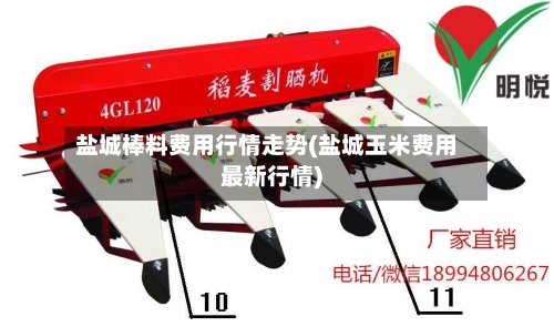 盐城棒料费用行情走势(盐城玉米费用最新行情)