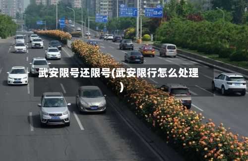 武安限号还限号(武安限行怎么处理)