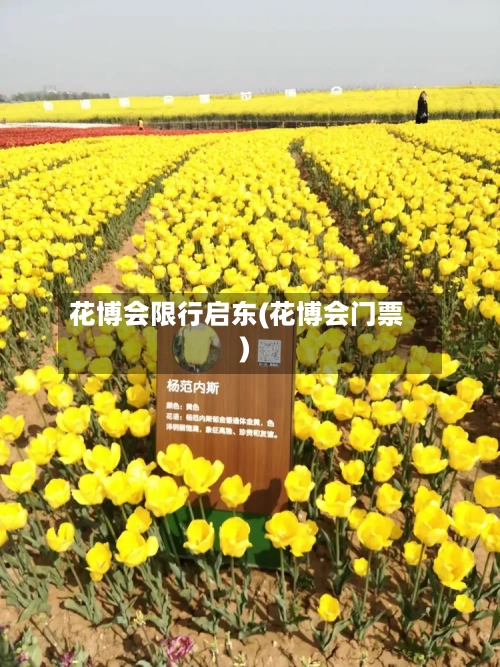 花博会限行启东(花博会门票)