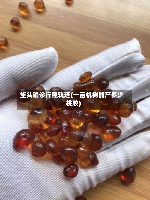 垡头确诊行程轨迹(一亩桃树能产多少桃胶)