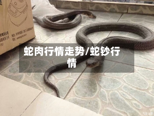 蛇肉行情走势/蛇钞行情