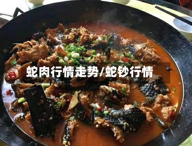 蛇肉行情走势/蛇钞行情