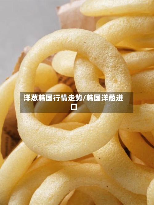 洋葱韩国行情走势/韩国洋葱进口