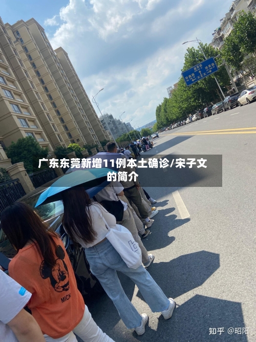 广东东莞新增11例本土确诊/宋子文的简介
