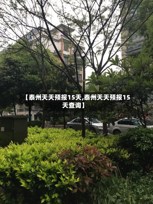 【泰州天天预报15天,泰州天天预报15天查询】