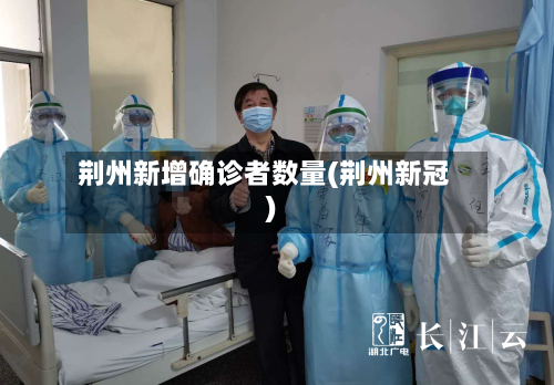 荆州新增确诊者数量(荆州新冠)