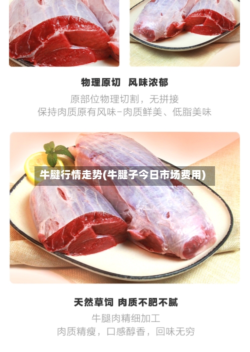 牛腱行情走势(牛腱子今日市场费用)
