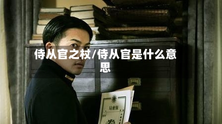 侍从官之杖/侍从官是什么意思