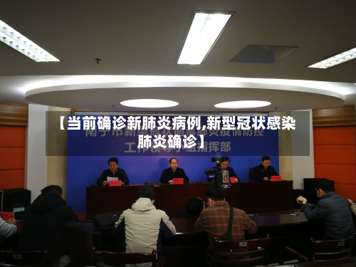 【当前确诊新肺炎病例,新型冠状感染肺炎确诊】