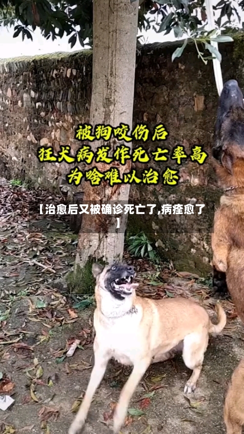 【治愈后又被确诊死亡了,病痊愈了】