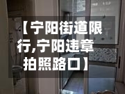 【宁阳街道限行,宁阳违章拍照路口】