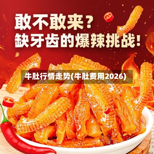 牛肚行情走势(牛肚费用2026)