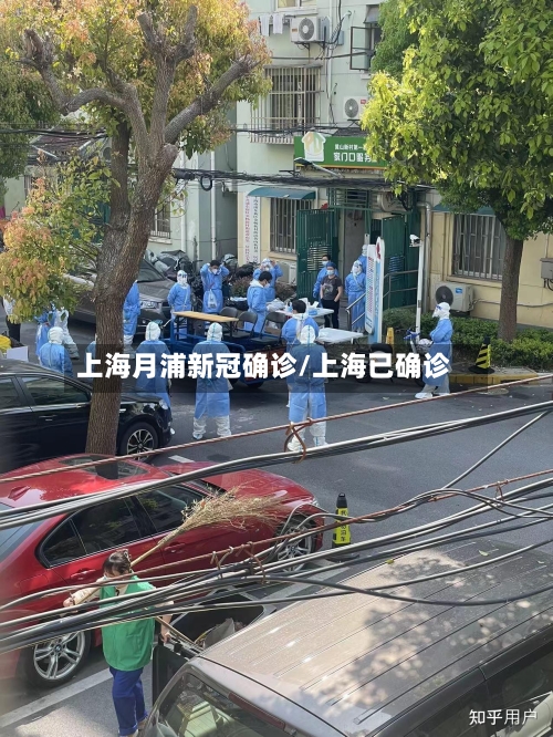 上海月浦新冠确诊/上海已确诊