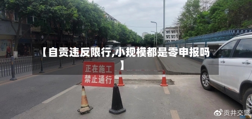 【自贡违反限行,小规模都是零申报吗】