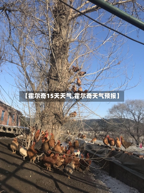 【霍尔奇15天天气,霍尔奇天气预报】