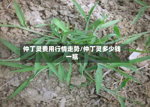 仲丁灵费用行情走势/仲丁灵多少钱一瓶