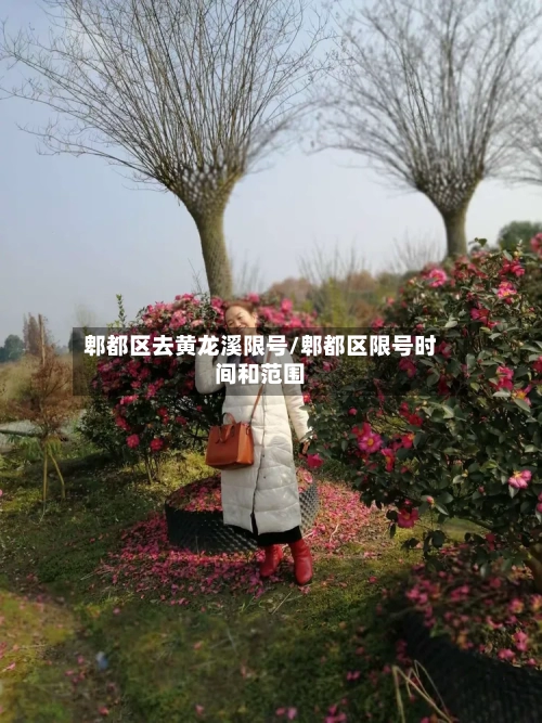 郫都区去黄龙溪限号/郫都区限号时间和范围
