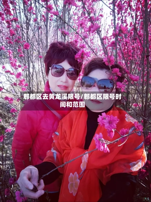 郫都区去黄龙溪限号/郫都区限号时间和范围