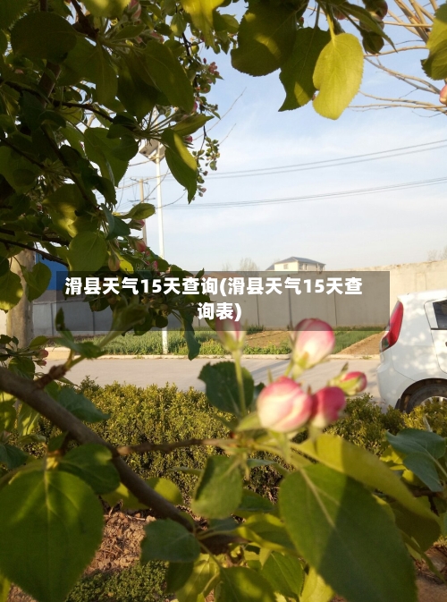 滑县天气15天查询(滑县天气15天查询表)