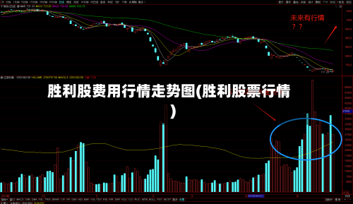 胜利股费用行情走势图(胜利股票行情)