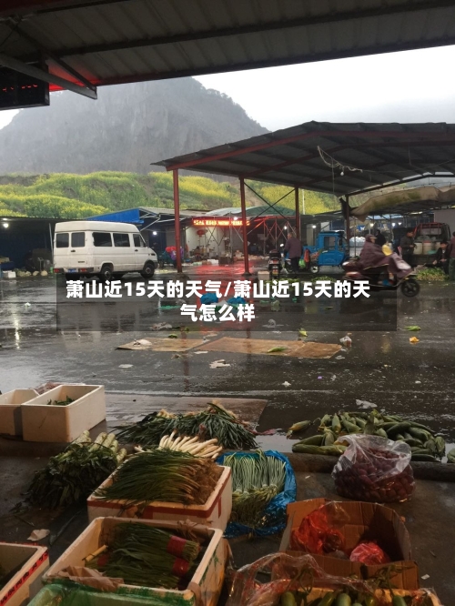 萧山近15天的天气/萧山近15天的天气怎么样