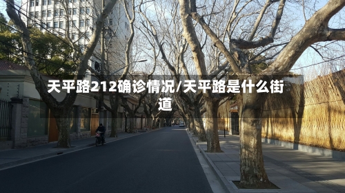 天平路212确诊情况/天平路是什么街道