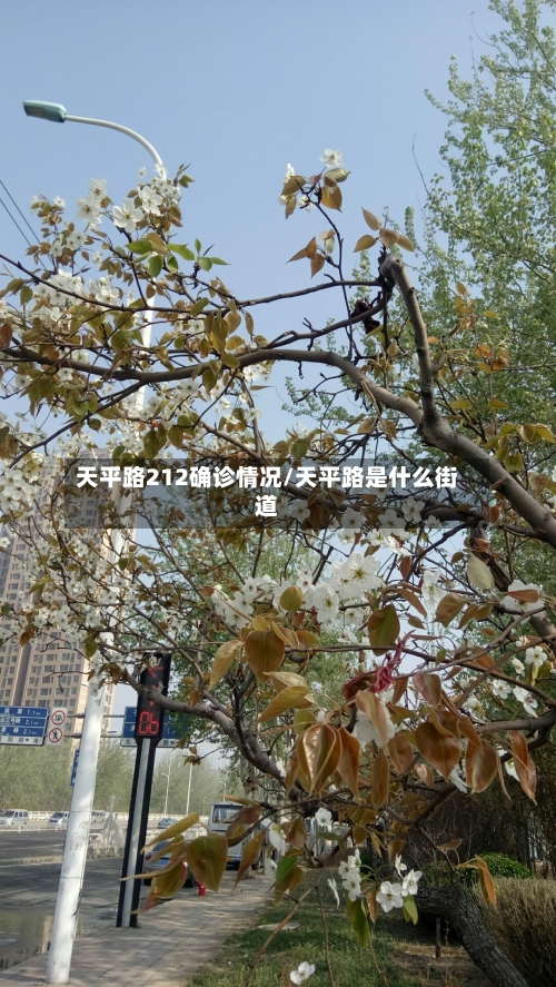 天平路212确诊情况/天平路是什么街道