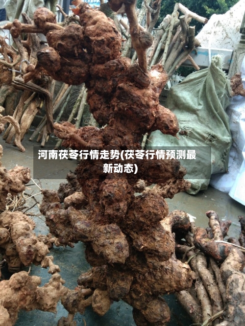 河南茯苓行情走势(茯苓行情预测最新动态)