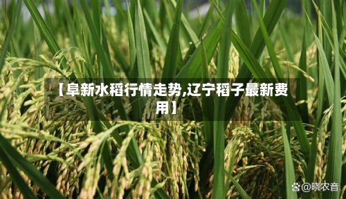 【阜新水稻行情走势,辽宁稻子最新费用】