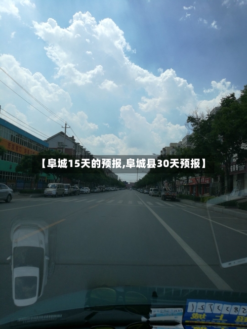 【阜城15天的预报,阜城县30天预报】