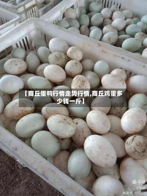 【商丘蛋鸭行情走势行情,商丘鸡蛋多少钱一斤】