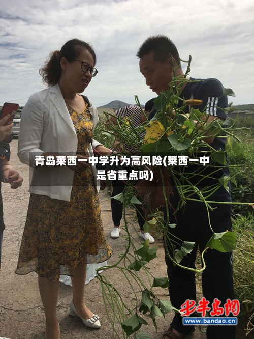 青岛莱西一中学升为高风险(莱西一中是省重点吗)