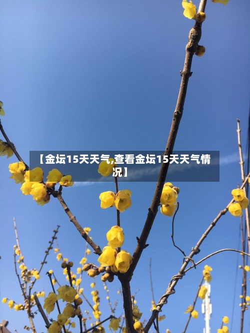【金坛15天天气,查看金坛15天天气情况】