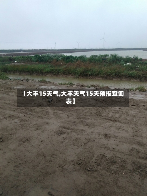 【大丰15天气,大丰天气15天预报查询表】