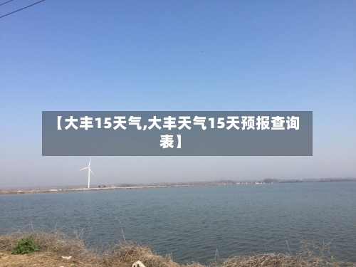 【大丰15天气,大丰天气15天预报查询表】