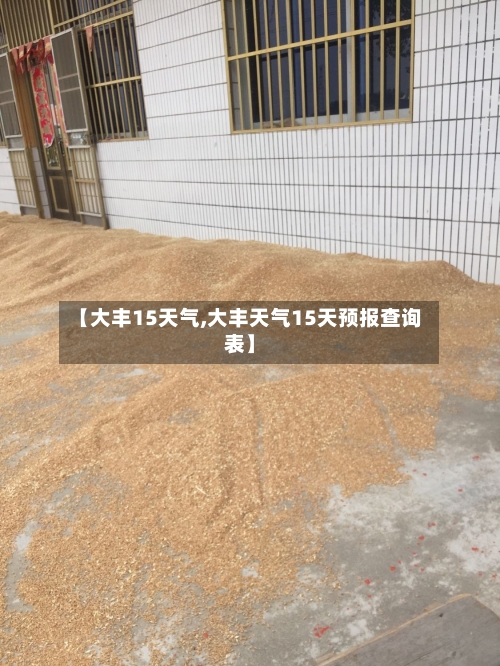 【大丰15天气,大丰天气15天预报查询表】