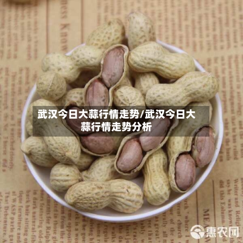 武汉今日大蒜行情走势/武汉今日大蒜行情走势分析