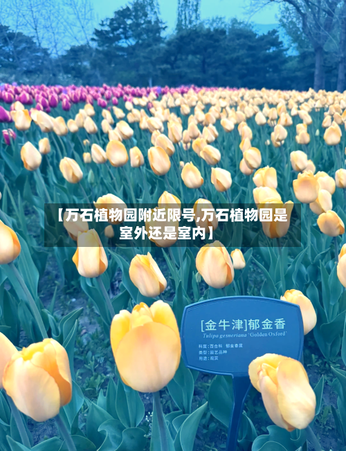 【万石植物园附近限号,万石植物园是室外还是室内】