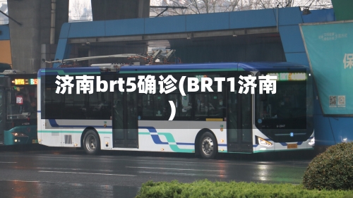 济南brt5确诊(BRT1济南)