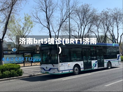 济南brt5确诊(BRT1济南)