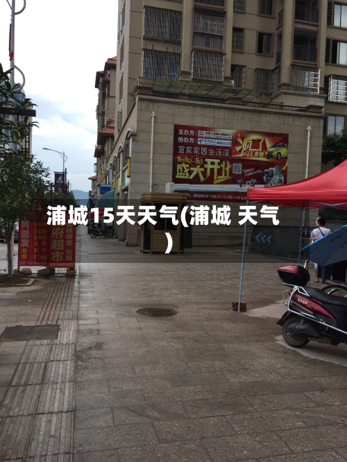 浦城15天天气(浦城 天气)