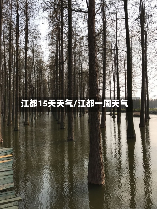 江都15天天气/江都一周天气