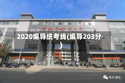 2020编导统考线(编导203分)