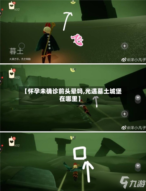 【怀孕未确诊前头晕吗,光遇墓土城堡在哪里】