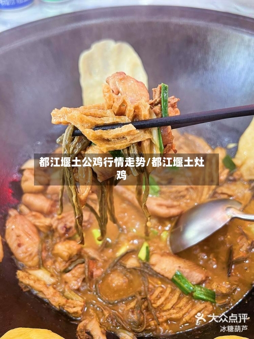 都江堰土公鸡行情走势/都江堰土灶鸡