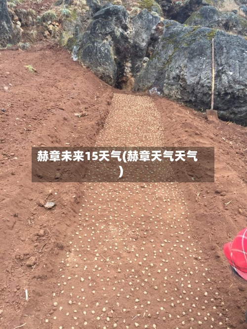 赫章未来15天气(赫章天气天气)