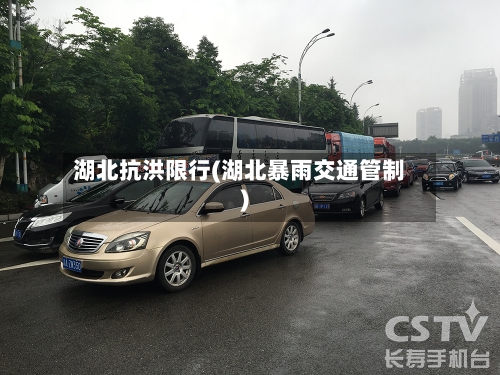 湖北抗洪限行(湖北暴雨交通管制)