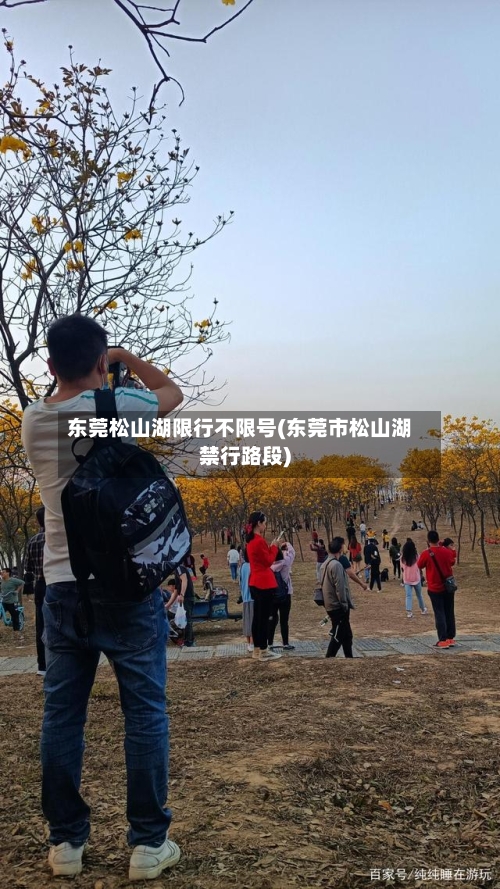 东莞松山湖限行不限号(东莞市松山湖禁行路段)