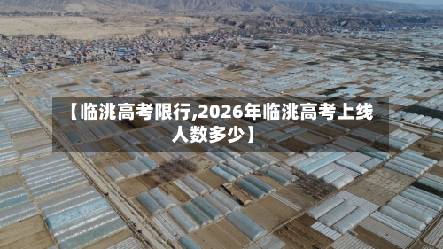 【临洮高考限行,2026年临洮高考上线人数多少】