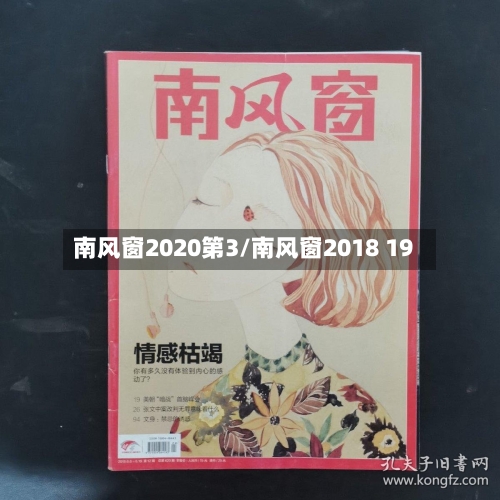 南风窗2020第3/南风窗2018 19